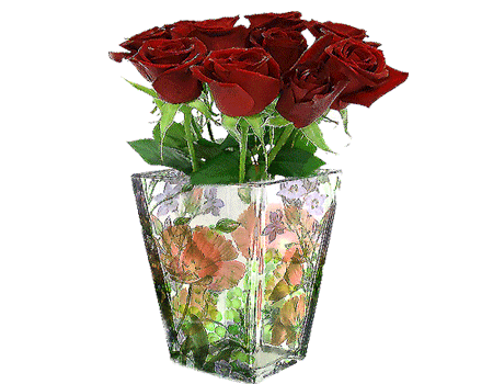 Meet our dogs and puppies | CountryRose Maltese | United States