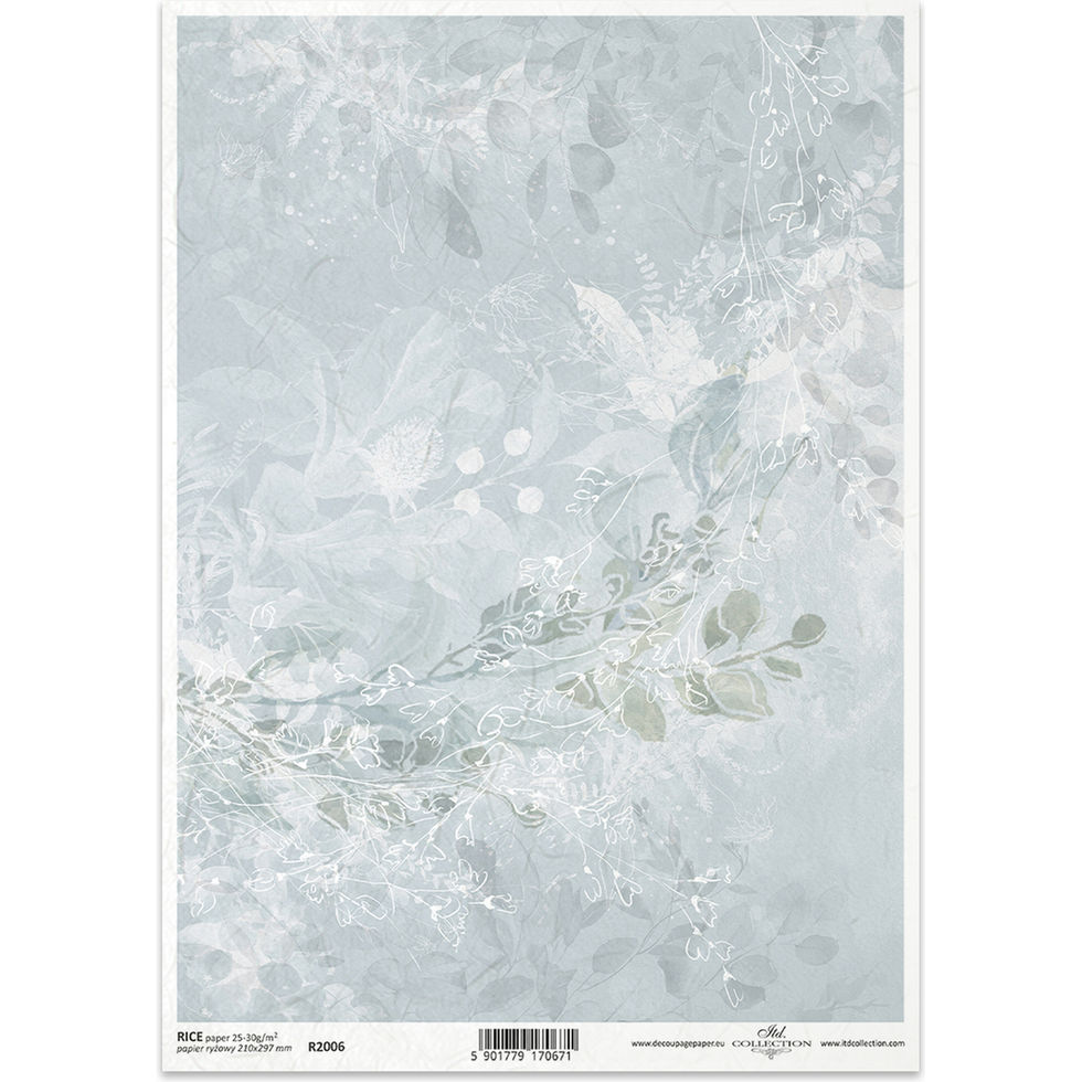 Rice Paper – Botanical Background