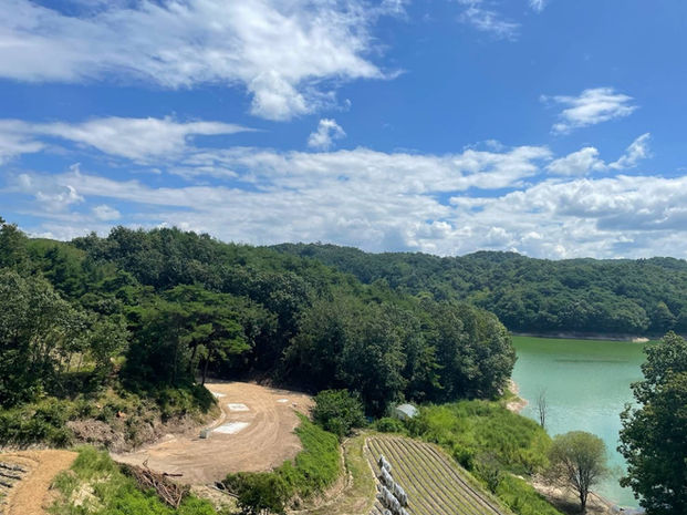 美しい自然風景、青い空と緑の山々。陶山秘苑 未来型Well-being 羅参仙 ハーブガーデン安東 新羅人参 08ryu753 Yinyan09