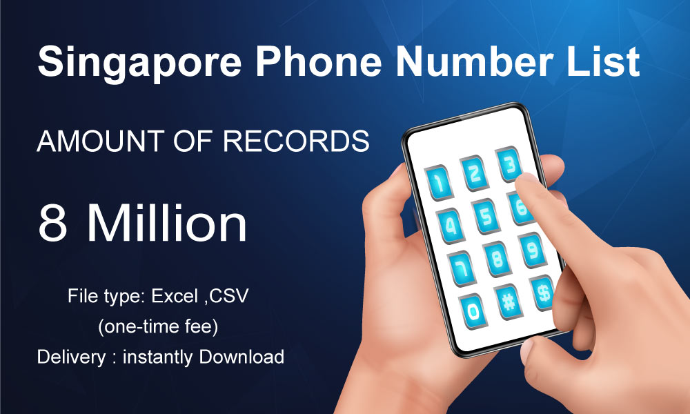 Auditing Your Strategy Singapore Phone Number List content media