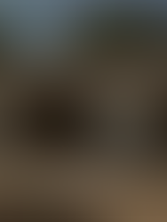 O primeiro crematório de Brasília