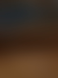 Dúvidas frequentes sobre o Translado terrestre para o funeral