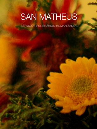 16 Frases para Coroa de Flores que refletem o amor e a memória da pessoa querida.