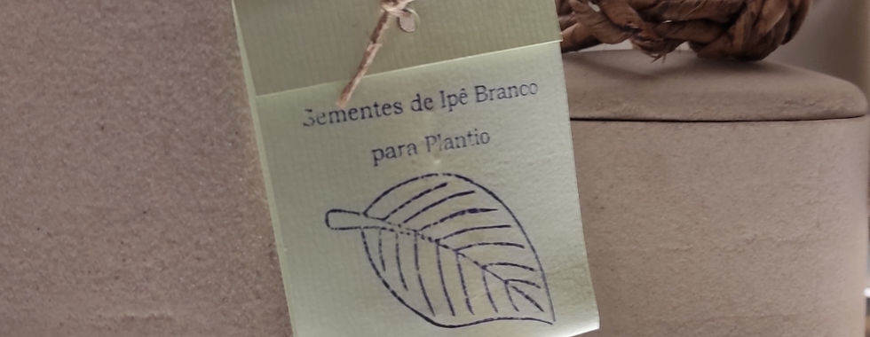 Urna ecologicamente sustentável da funerária San Matheus