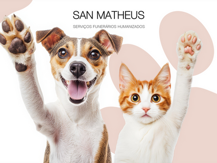 Cremação de Pets: uma despedida digna e cheia de amor