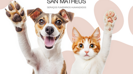 Cremação de Pets: uma despedida digna e cheia de amor