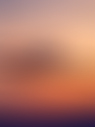 Como funciona o translado aéreo funerário?