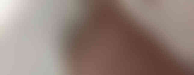 Urna ecologicamente sustentável da funerária San Matheus