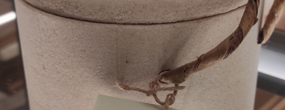 Urna ecologicamente sustentável da funerária San Matheus