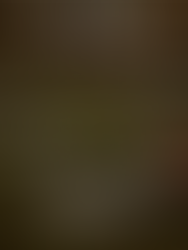 Você sabe o que é um Jazigo?