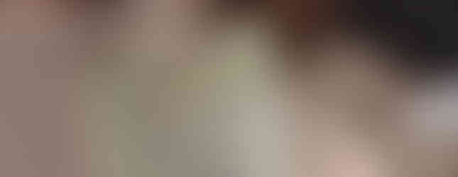 Urna ecologicamente sustentável da funerária San Matheus