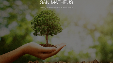 A importância da sustentabilidade no setor funerário