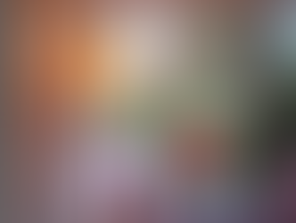 Front Porch Observation