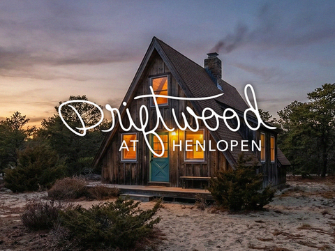 Driftwood at Henlopen