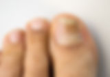 AdobeStock_100083456.jpeg