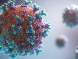 Why We Must Continue the Fight Against COVID-19