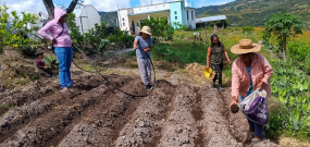 ELABORACIÓN DE MERMELADA Y EMPANADAS