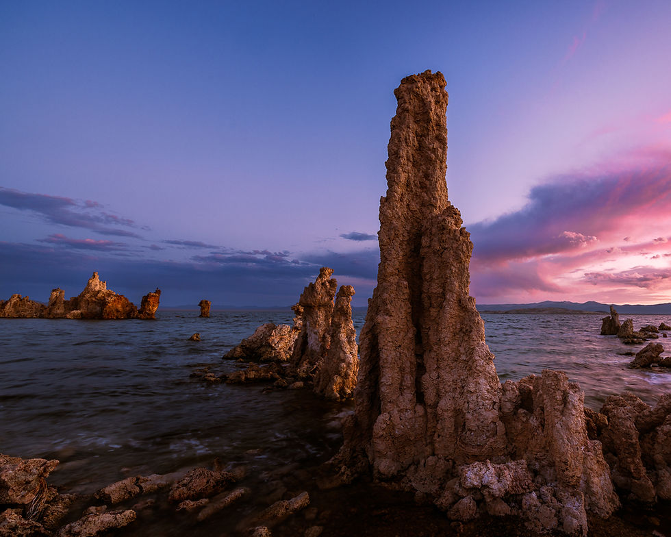 Field Trip (Club Members Only) - Mono Lake