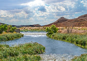 Wetlands Park.jpg