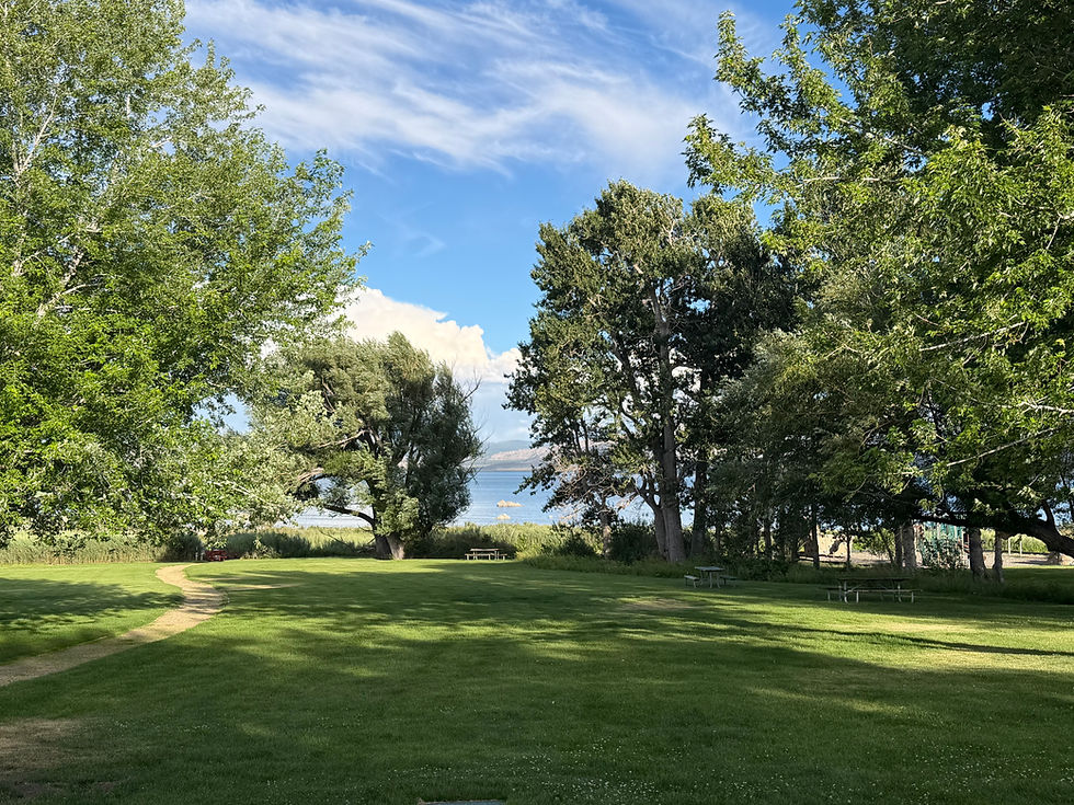 County Park - Picnic