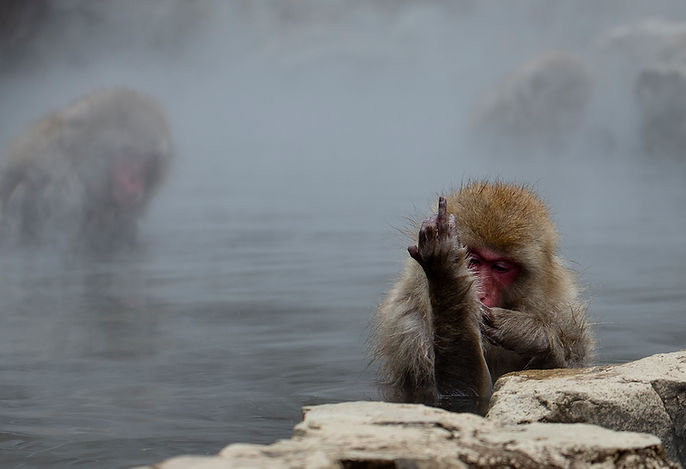 i dont like photographers Ed.jpg