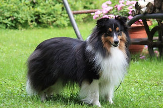 KIIDA 2014 HEINÄKUU ---.JPG