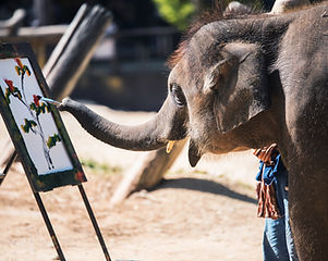Elephant Painting