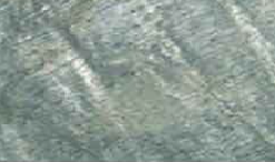 1_Deoli Green