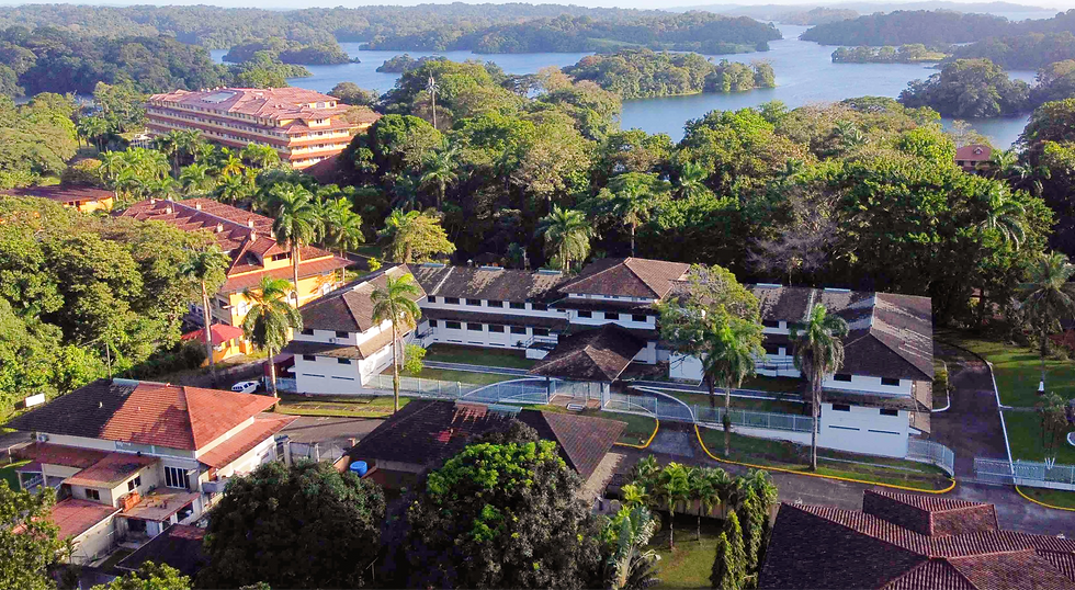 Offset with exposure set on sky (photo) LR_edited_edited.png