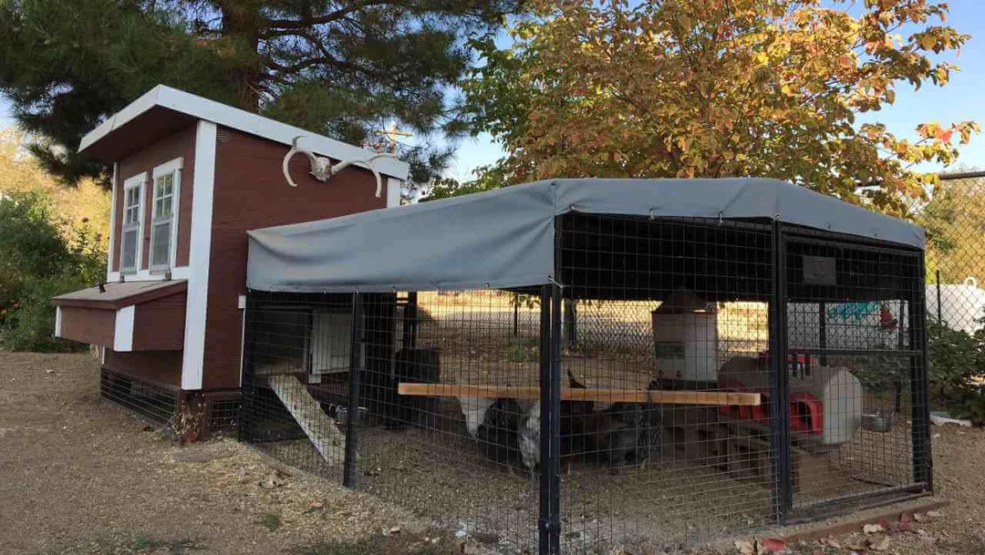 Regular-8ft-OverEZ-Chicken-Run-Side-View.webp