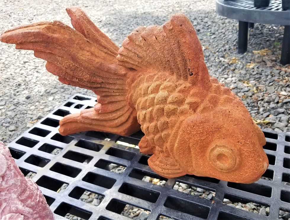 fish2