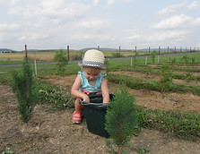 Field Operations Manager.jpg