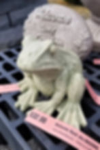Frog2