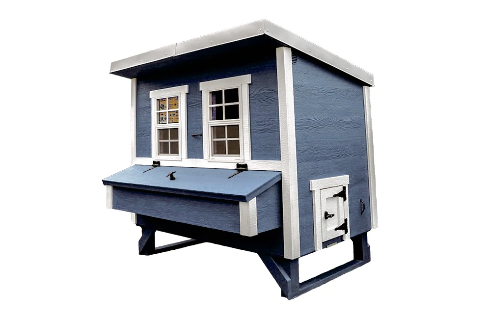 large_blue_coop_right_4.webp