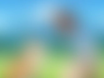 日本一待てるコギ選手権