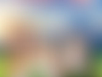 AJC2025では「パピー・車椅子・シニアの交流会」 を開催します