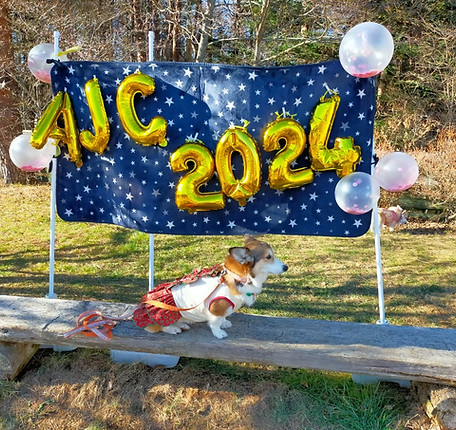 AJC2024バルーン