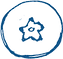 blueberry_03.png