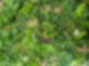 e-06.jpg