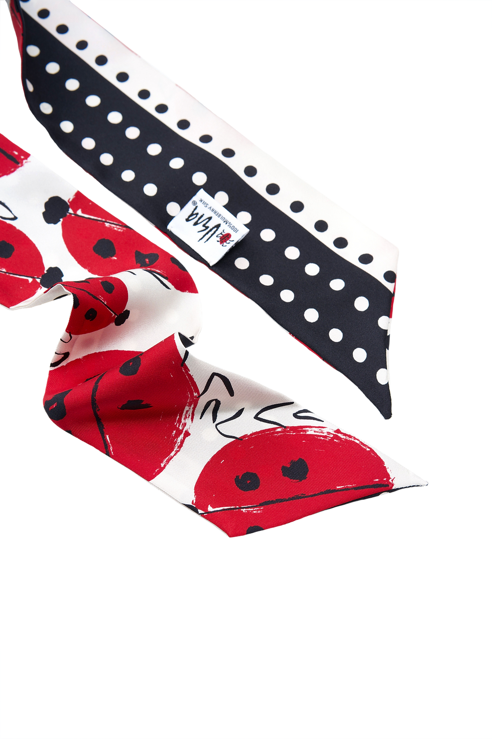 Thumbnail: Ladybug