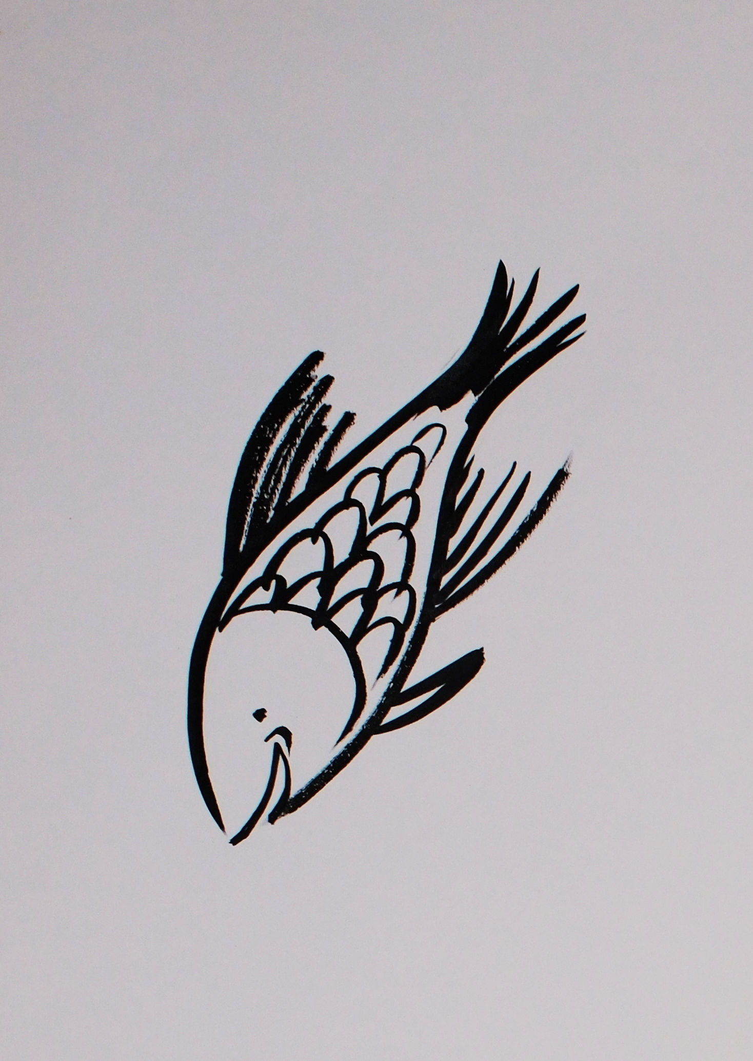 Fish from the Series