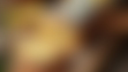 Cake citron-pavot ultra moelleux