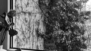 Slow living : ralentir le rythme au quotidien