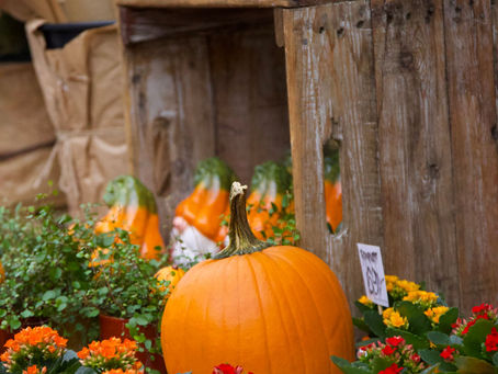 Idées déco pour un Halloween chic et sans plastique
