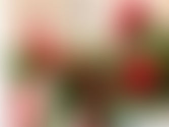 Où trouver des décorations de Noël à l’américaine