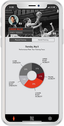 Performance Plate Phone F Basketball.png