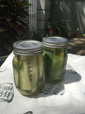 Homemade Dill Pickles