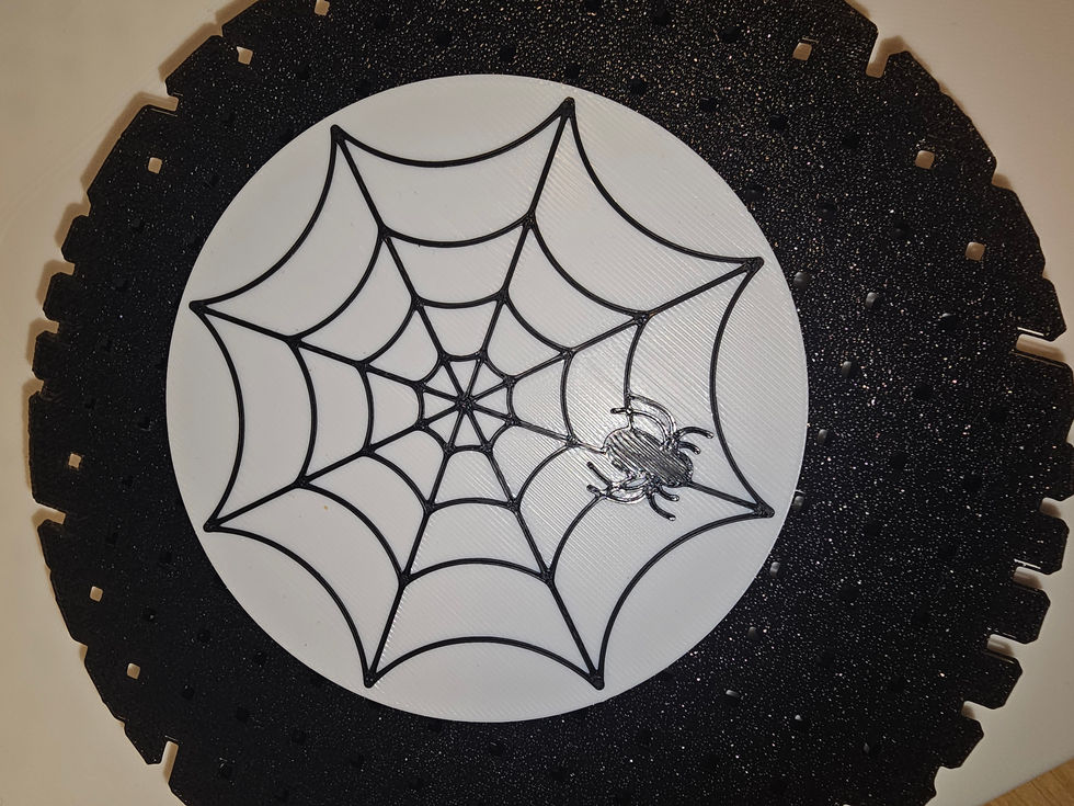 Spider Web