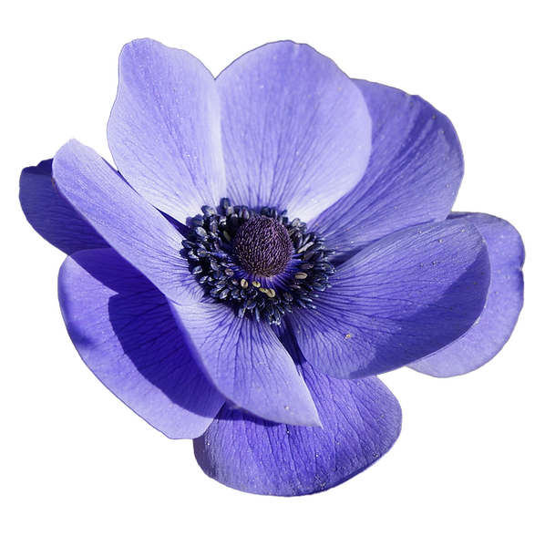 HiLights Salon and Day Spa