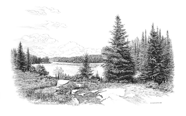 NATURE'S PEACE - ALGONQUIN PARK